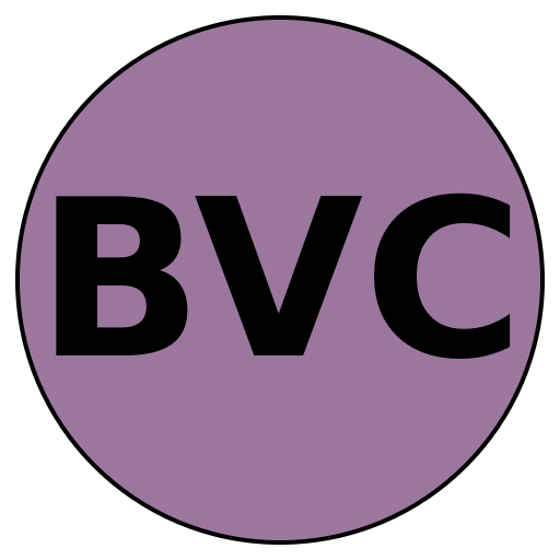 BoldVenture Careers